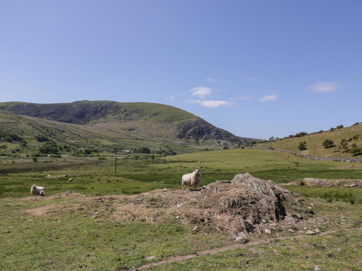 Llethr - Shepherds Hut * Llanbedr (Gwynedd)