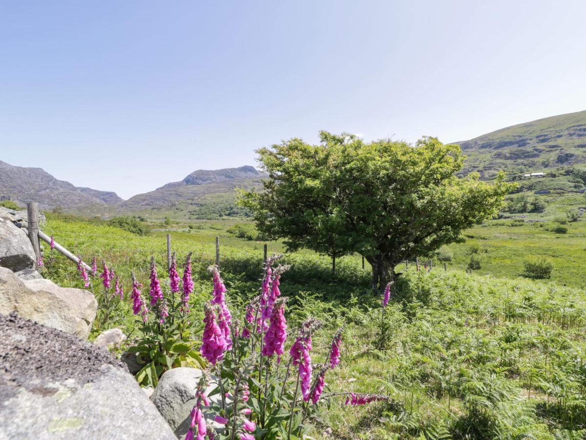 Llethr - Shepherds Hut Holiday home